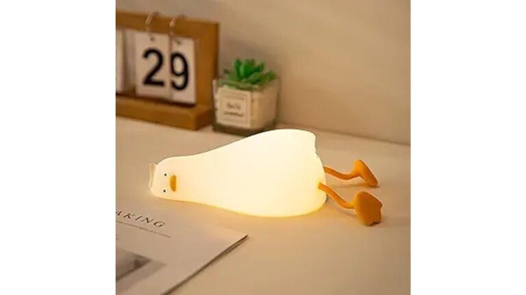 benson s flat duck nightlight