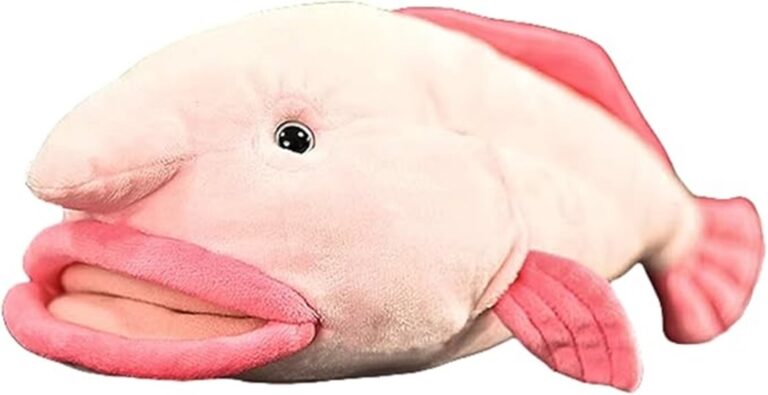 frankiezhou blobfish stuffed animal