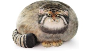 pallas cat stuffed animal