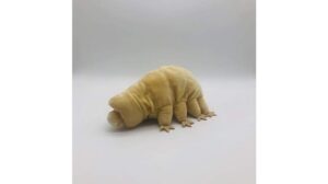tammyflyfly lifelike tardigrade plush