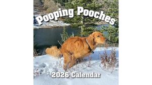 white elephant gift calendar